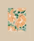 justdesignpng