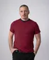 mensstripetshirtnavyred1jpg