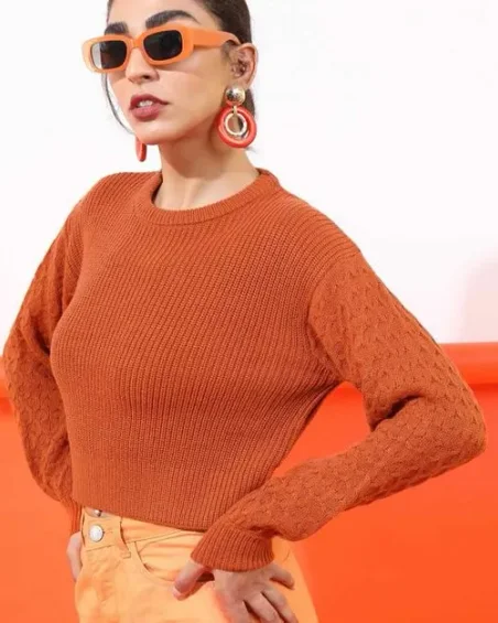 Women Solid Round Neck Sweater