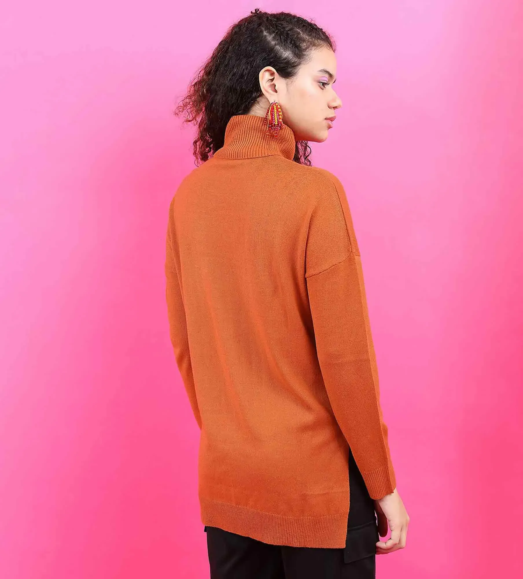 Women Solid Turtle Neck Sweater