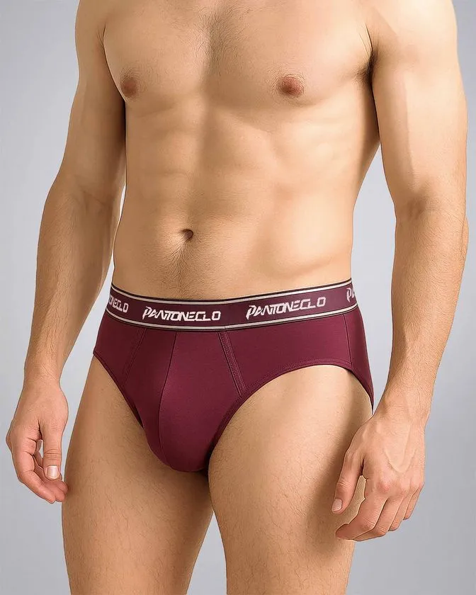 Pantoneclo Men’s Elastane Brief 5 Pcs Pack